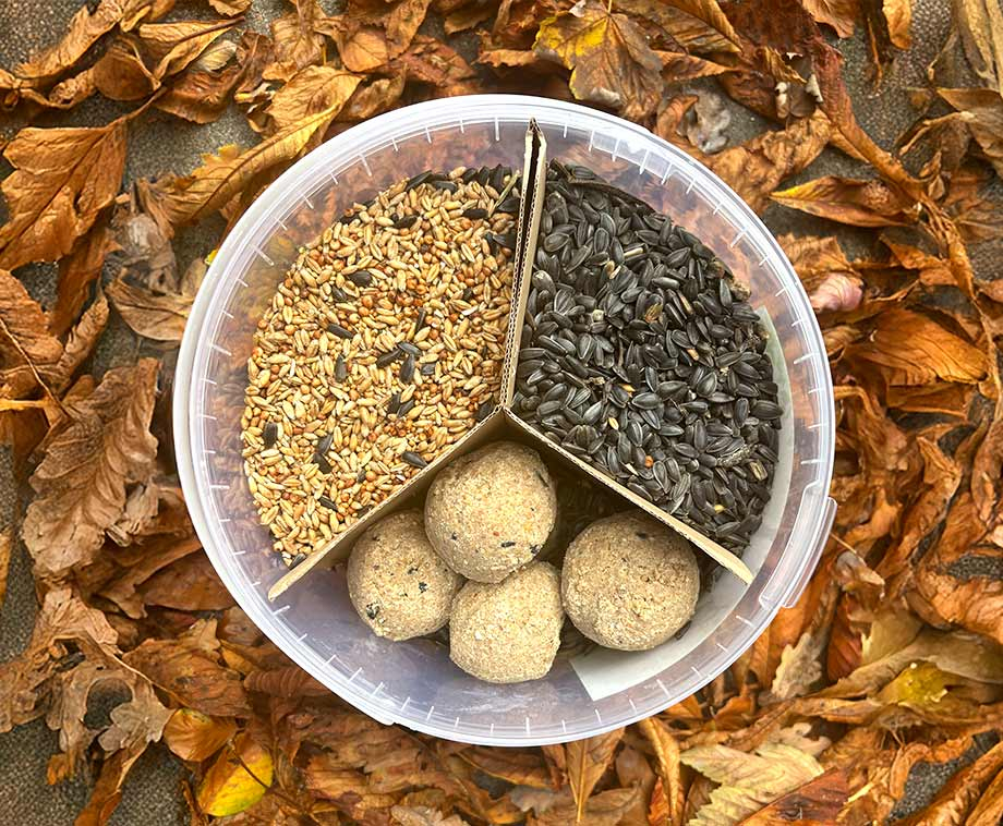 Vogelvoermix Zonder Net 3kg In Emmer – Complete Mix Van Vetbollen En Strooi … post thumbnail image