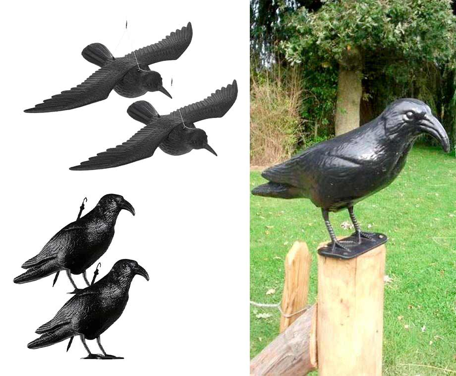 Duivenverjager Tegen Poep En Geluid – Vandaag 1+1 GRATIS! … post thumbnail image