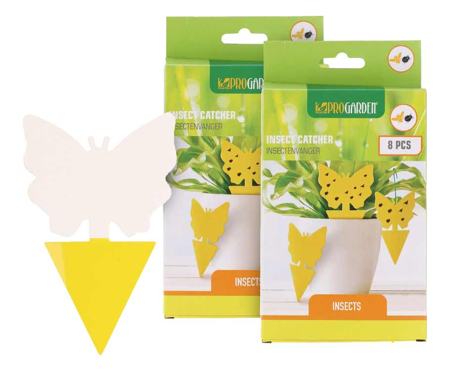 Fruitvliegjes En Andere Insectenvanger Op Prikker – Vandaag 8+8 GRATIS! … post thumbnail image