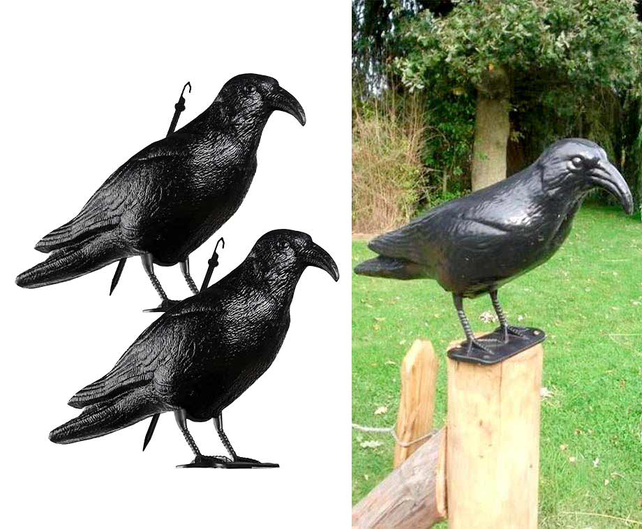 Duivenverjager Tegen Poep En Geluid – Vandaag 1+1 GRATIS … post thumbnail image